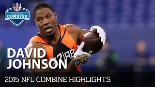 David Johnson (University of Northern Iowa, RB) | 2015 NFL Combine Highlights