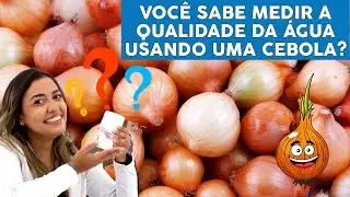 BIOINDICADOR DE CEBOLA 🧅 Voc&ecirc; sabe quando a &aacute;gua est&aacute; boa para beber? 💧