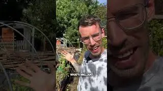 Часть 8 - Очистка клетки для капустных культур🌿 #ЖизньНаУчастке #СадовыйПроект #Садоводство #СадН...