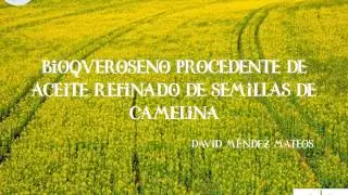 proyecto bioqueroseno