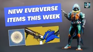 New Eververse Store This Week - Witherhoard Ornament | Destiny 2