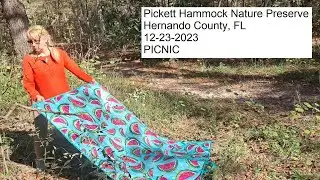 PICNIC at Pickett Hammock Preserve - Hernando County, FL 12-23-2023