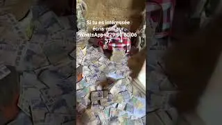 Salut comment &ccedil;a va si vous voulez demande quelque chose pour m'&eacute;crire sur WhatsApp  90 80 06 37 💵