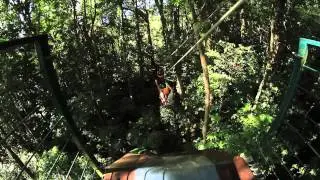 Jungle Surfing Cape Tribulation