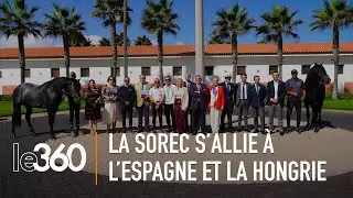 Le cheval arabe-barbe au coeur de deux conventions de la Sorec avec la Hongrie et l&rsquo;Espagne