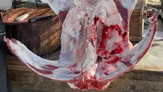 Beef Ultra Pro Cutting 😍A+ Quality Professional Beef Cutting