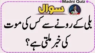 Top Islamic Questions Answers - UrduQuiz - Islamic Paheliyan - Islami SawalJawab - Islamic Quiz | Gk
