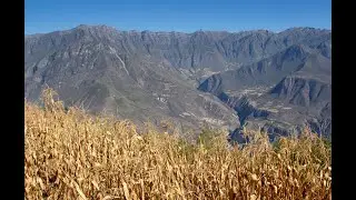 Andean Farming Terrace: Camera Panning