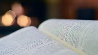 reading bible hd stock free footage