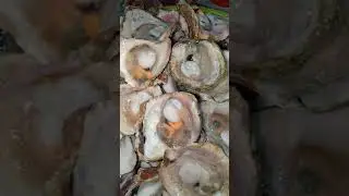 Delicious Oyster#shorts #food #delicious