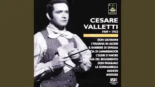 Don Pasquale, Act II: Povero Ernesto... Cercherò lontana terra