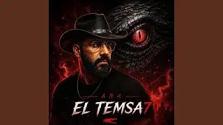 ANA El TEMSA7