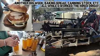 We hired a Dingo, so the kitchen time was challenging! Another Week. - Off Grid Australia