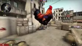 Matchmaking Highlights and Funny Moment