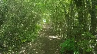 Finishing the Ridgeway Trail