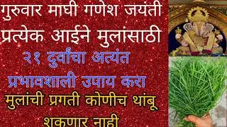 गुरुवारी माघी गणेश जयंतीला आईने मुलांसाठी 21 दुर्वांचा उपाय नक्की करा, मुलांची प्रगती होईल यश मिळेल