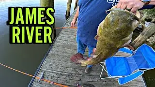 Targeting BIG FLATHEAD & BLUE CATFISH in THE JAMES RIVER! JAMES RIVER FALL FISHING RICHMOND VIRGINIA