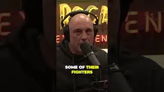 Insane UFC Insider Reveals How New Company Could Shake Up MMA World