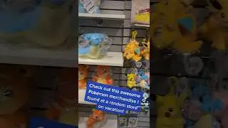 This random store had a ton of awesome Pokemon merchandise! 😆
