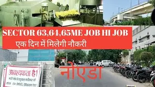 Job wala vlog sector 63 Noida me milti hai sabko jobSame day job10th12th@Imarnavsingh