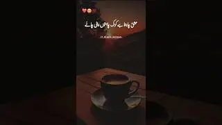 Tea Lover Status | Tea Lover Shorts | Tea Lover Poetry in Urdu