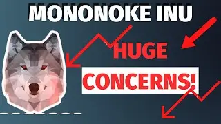 Mononoke Inu Token || My Fears About This Project