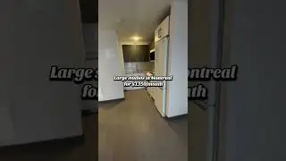 Large studios for rent at 3605 St-Urbain, Montreal &ndash; starting at $1350/month! Bright, spacious, and