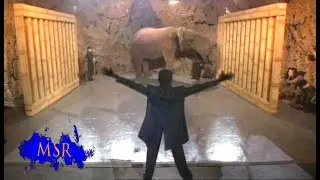 HOW TO MAKE A GIANT ELEPHANT VANISH!