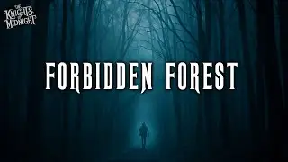 Haunted Forbidden Forest 👻 Ghostly Night Ambience & Howling Wolf