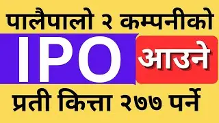 upcoming ipo in nepal 2024 || ipo share market in nepal || share market in nepal news today || ipo