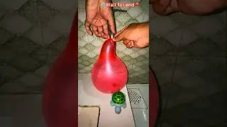 Water Balloon Challenge 🎈 | Balloon vs Water Explosion Test #Shorts