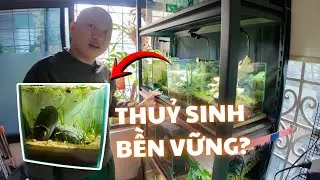 (Tập 1) Khám phá phong cách chơi 