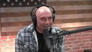 Joe Rogan mentions Doug Demuro