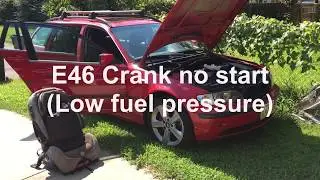 BMW E46 Crank no start... no fuel pressure