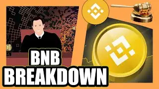 The BNB Project | Lets Dive In!