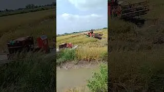 Máy cắt bị lúng