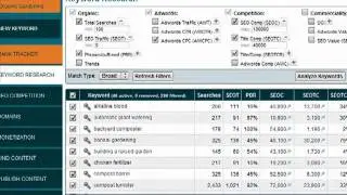 Как заработать деньги с Market Samurai