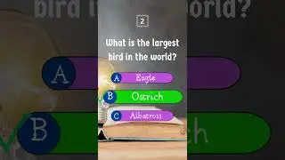 📚Fact Finder: General Knowledge Adventure 💡 #generalknowledge #quiz #facts