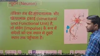 Class 10 biology Neuron tantrika tantr by Pc sir live Speed coaching centre 
