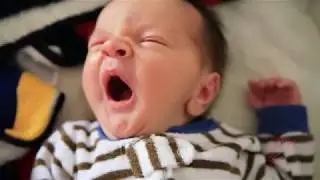ZIKA Virus Risks in Pregnancy Petrikovsky 04