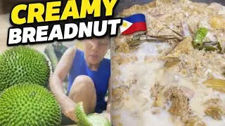Creamy Breadnut with Sardines in Coconut Milk | No Oil | Filipino Ginataang Kamansi
