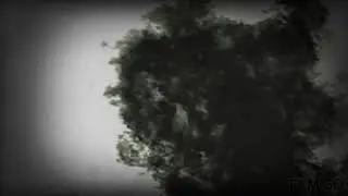 MC LOBSTER, Lil Vu Chi ft. DJ GEY - Zoom Zoom Crash (Official Music Video)