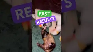 Advanced Therapy