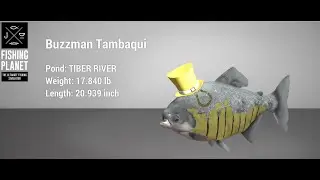 Fishing  Planet - St. Patrick's Day - Tiber River - Buzzman Tambaqui