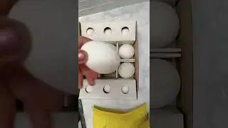 #licious #eggs #healthy