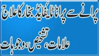 Typhoid Fever treatment by dr naveed |  ٹائیفائیڈ بخار کا علاج