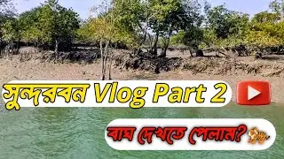 সুন্দরবনের গভীরে অভিযান 😱 | Sundarban Vlog Part 2 | বাঘ দেখা গেল? #sundarban #tour #vlog #bengali 
