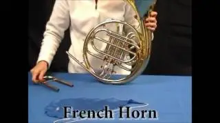 Hodge Silk Swab Demo