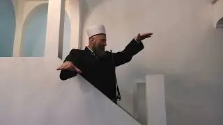 Najbolja stvorenja i njihove nagrade | Haris Kalač 