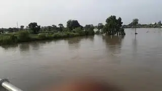 Vetva revir ..... Uphan